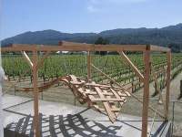 Finished bent wood trellis on location at Hall Wines